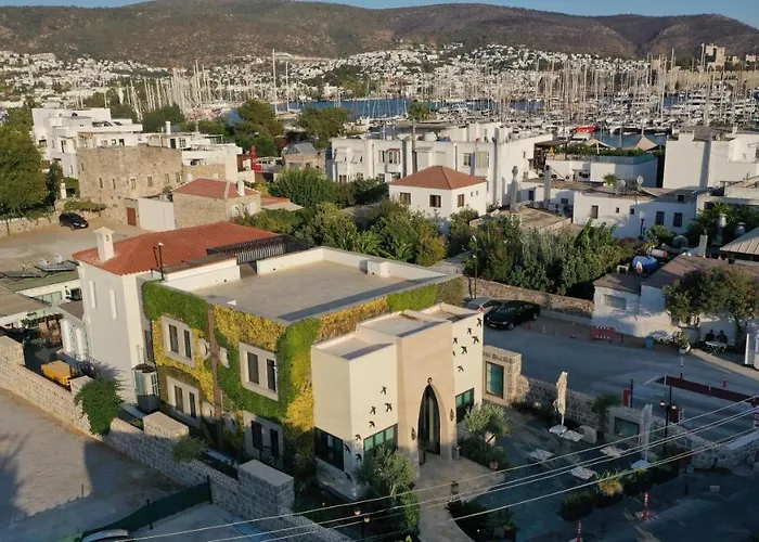 Отель Kocadon *