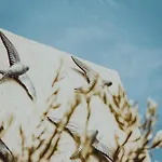 فندق Kocadon *