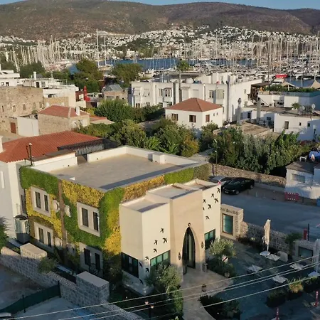 מלון Kocadon Museum *