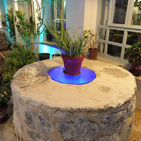 Kocadon * Бодрум