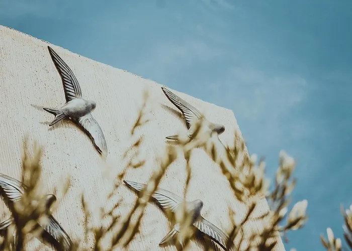 Отель Kocadon *