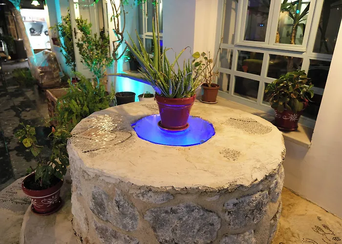 Kocadon * Бодрум